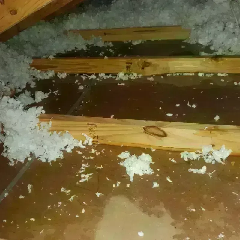 Attic Water Damage in Carmel-by-the-Sea, CA