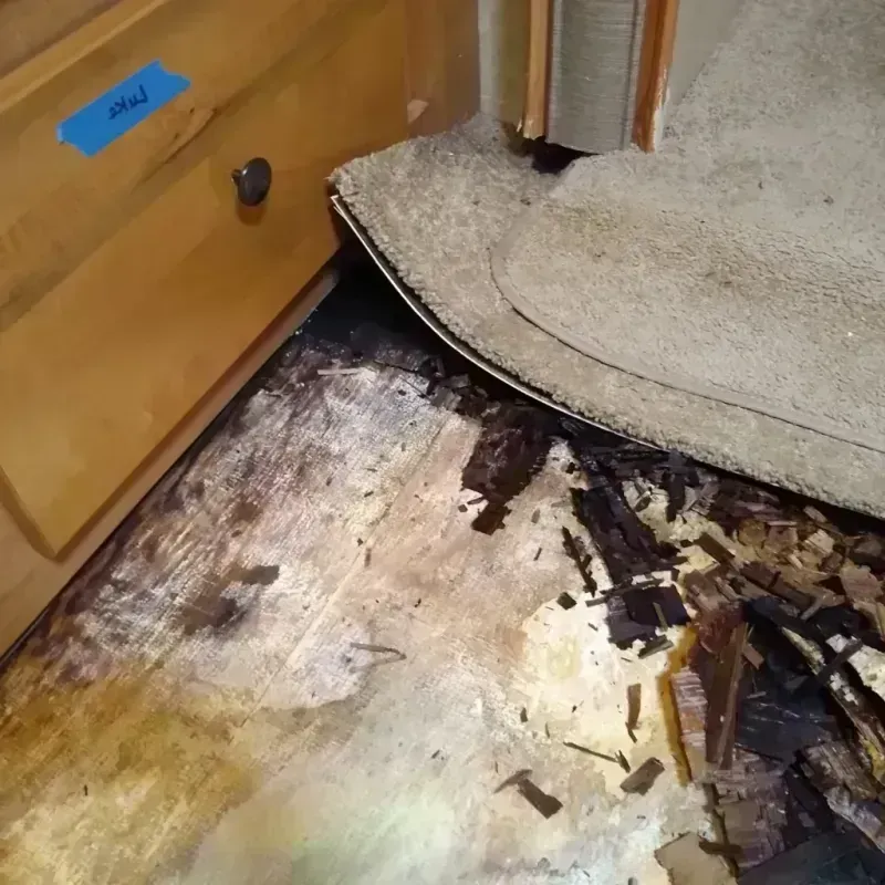 Wood Floor Water Damage in Carmel-by-the-Sea, CA